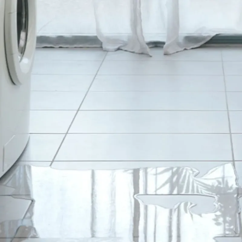 Appliance Leak Cleanup in Rocksprings, TX