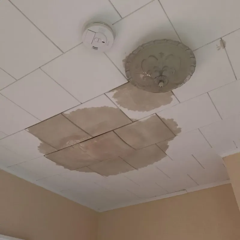 Ceiling Water Damage Repair in Rocksprings, TX